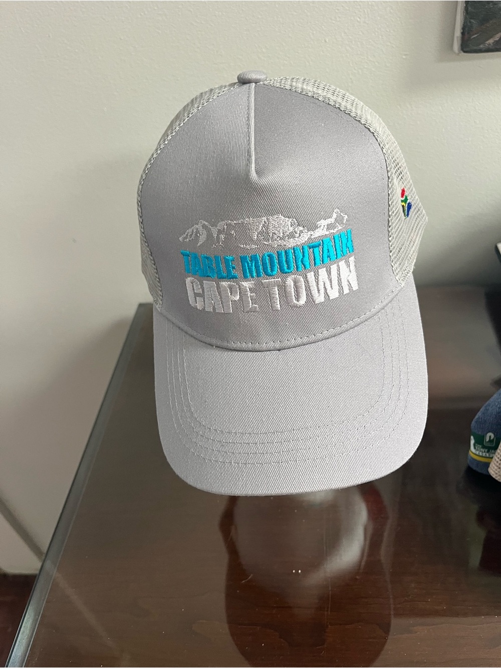 Table Mountain Cape Town Kids' Gray Trucker Hat